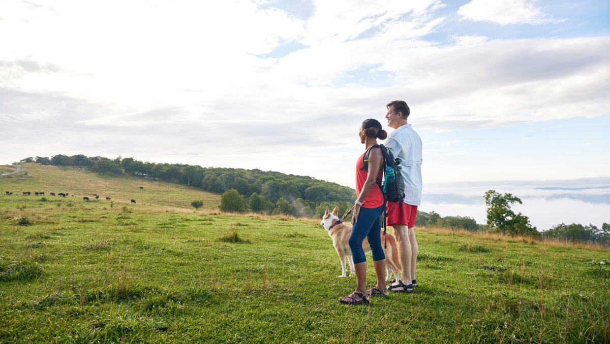 Couple with dog stand in open field taking in green surroundings