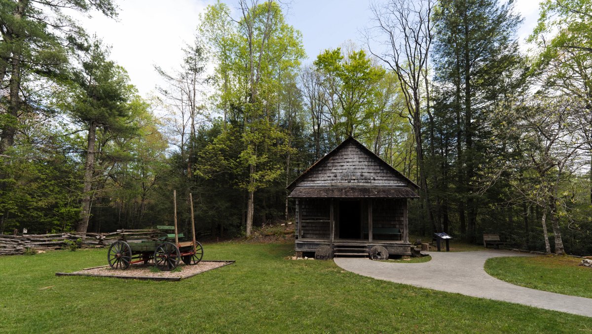 House and wagon on display surrounded by green trees and foliage during daytime