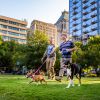 Men Walking Dogs in Greensboro during daytime