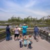 Family at outdoor aquarium exhibit looking out onto trees and marshes