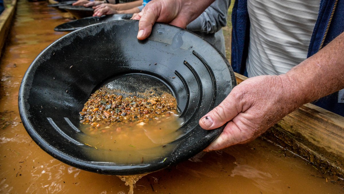 Close-up of pan of gold at Reed Gold Mine