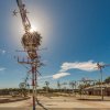 Park filled with whirligigs during daytime